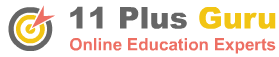 11 plus mock exam logo